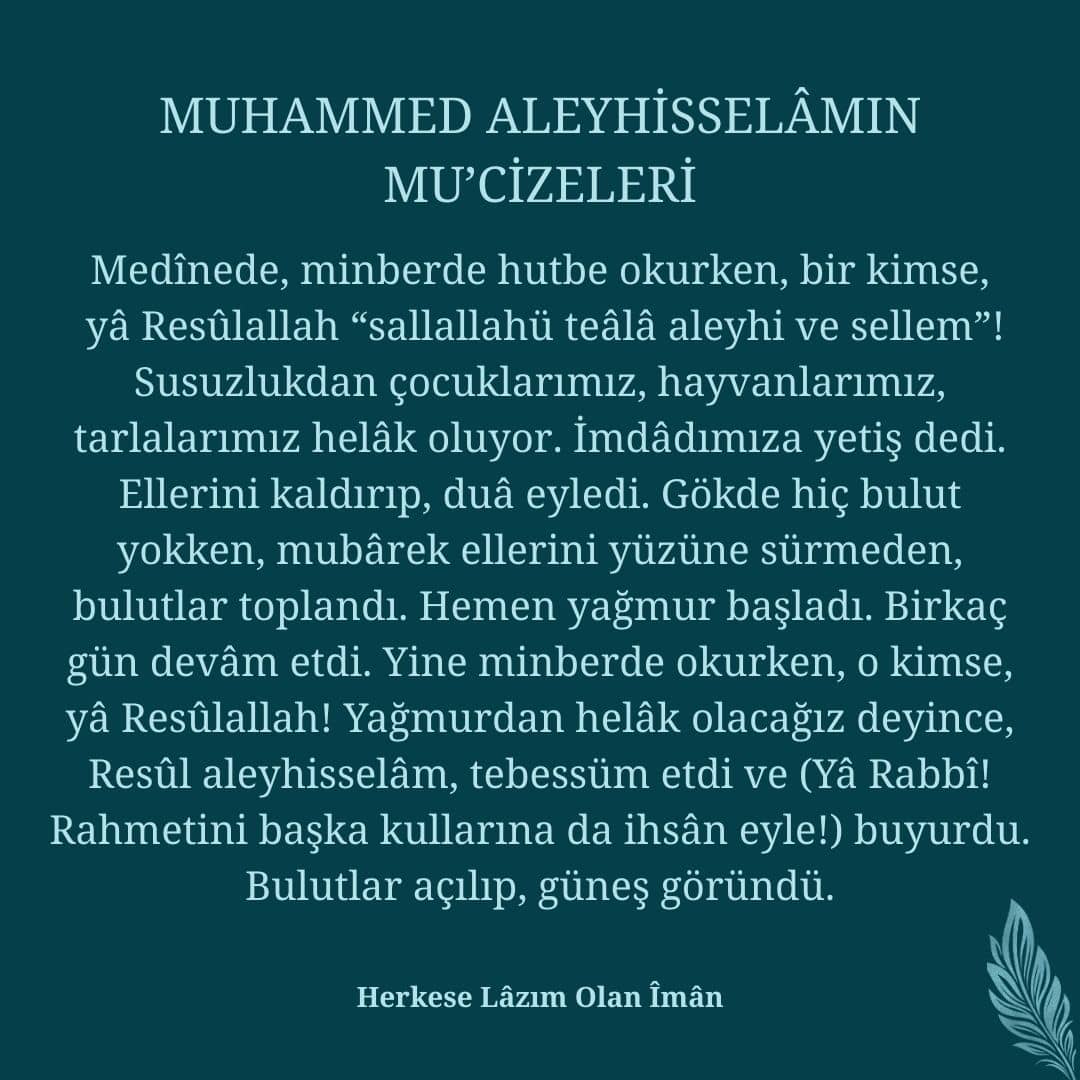 Mucizeleri (16)
